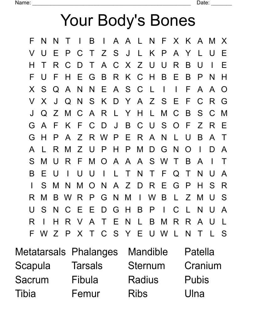 Your Body's Bones Word Search