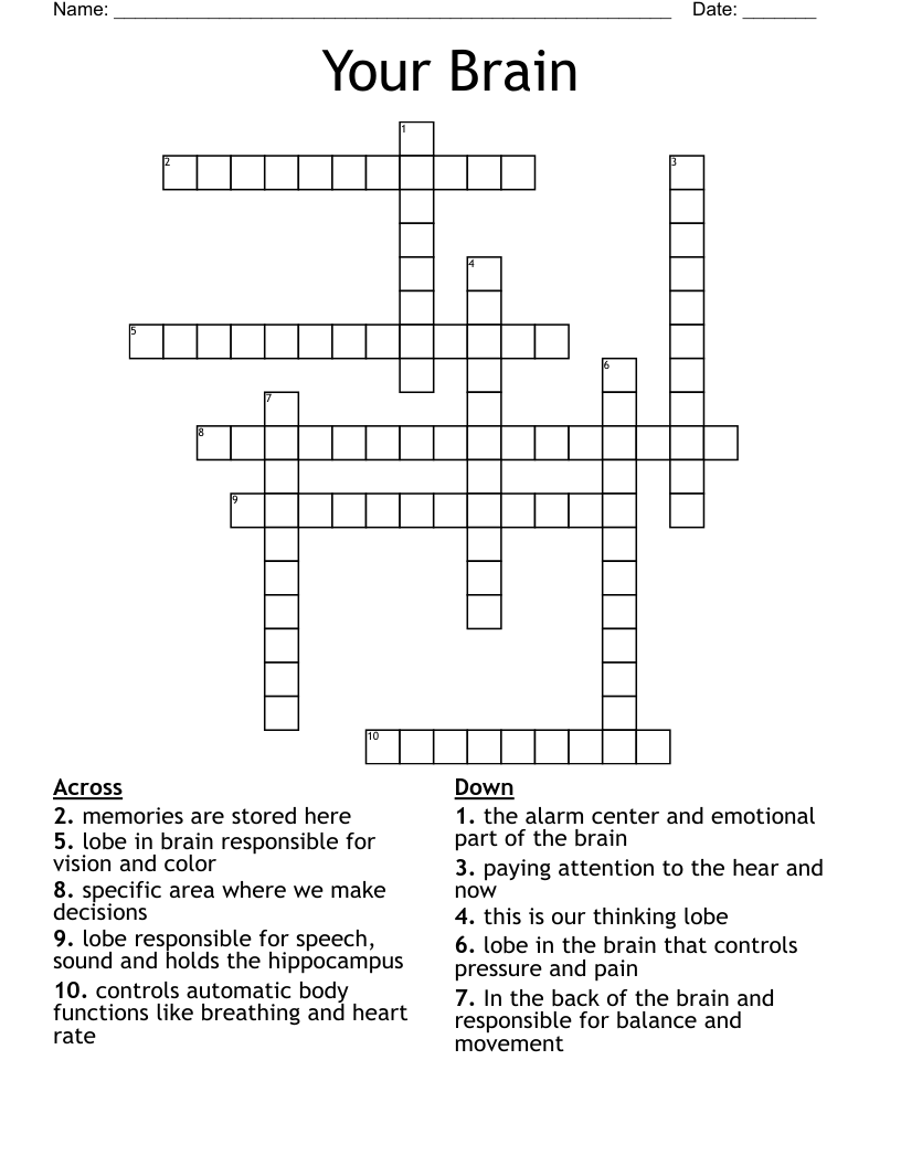 Your Brain Crossword