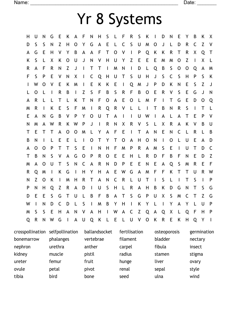 Yr 8 Systems Word Search