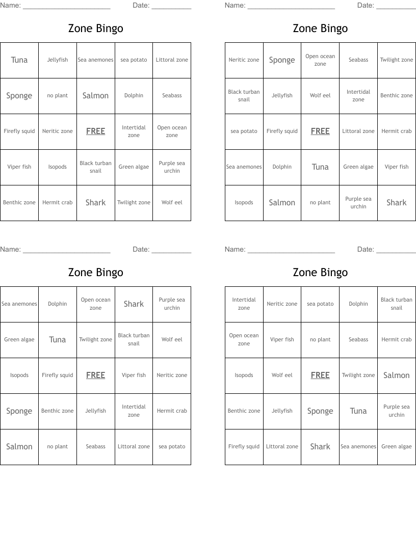 Zone Bingo