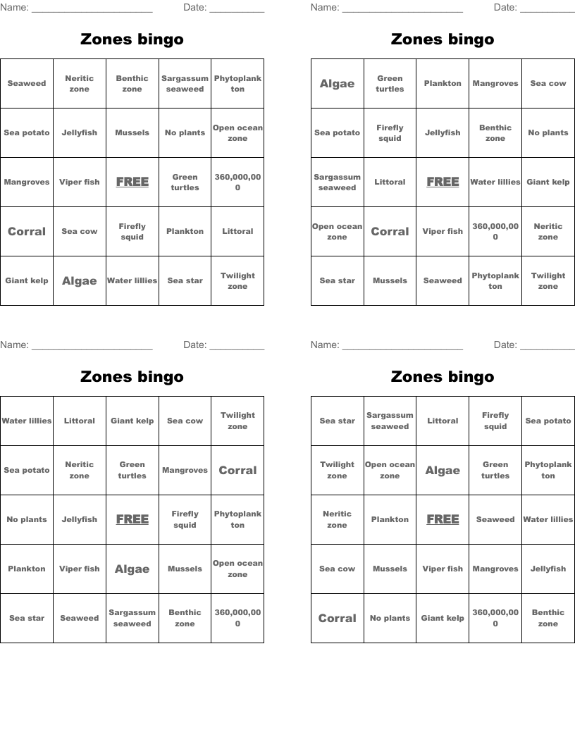Zones bingo