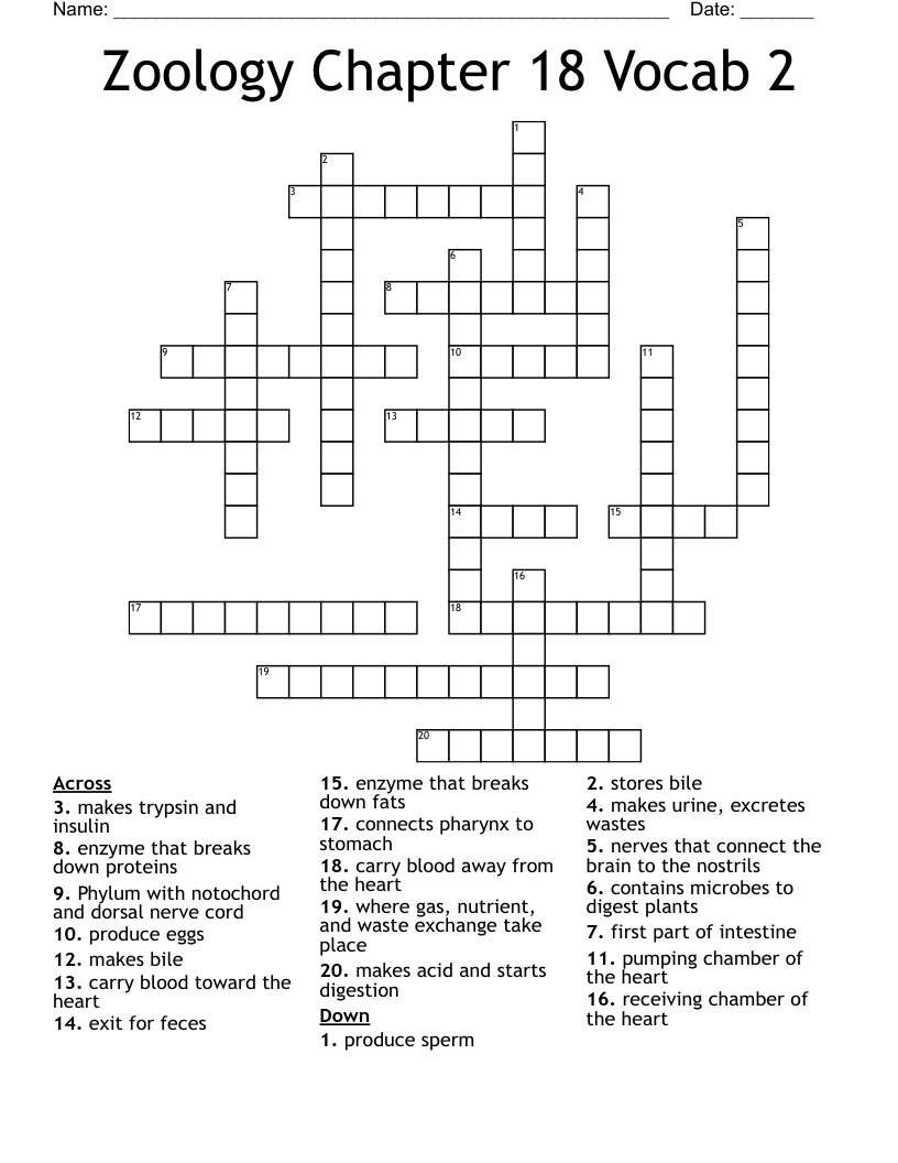 Zoology Chapter 18 Vocab 2  Crossword