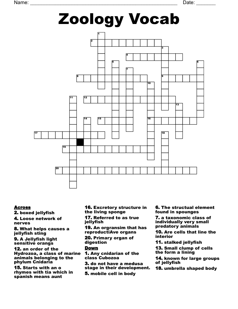 Zoology Vocab Crossword