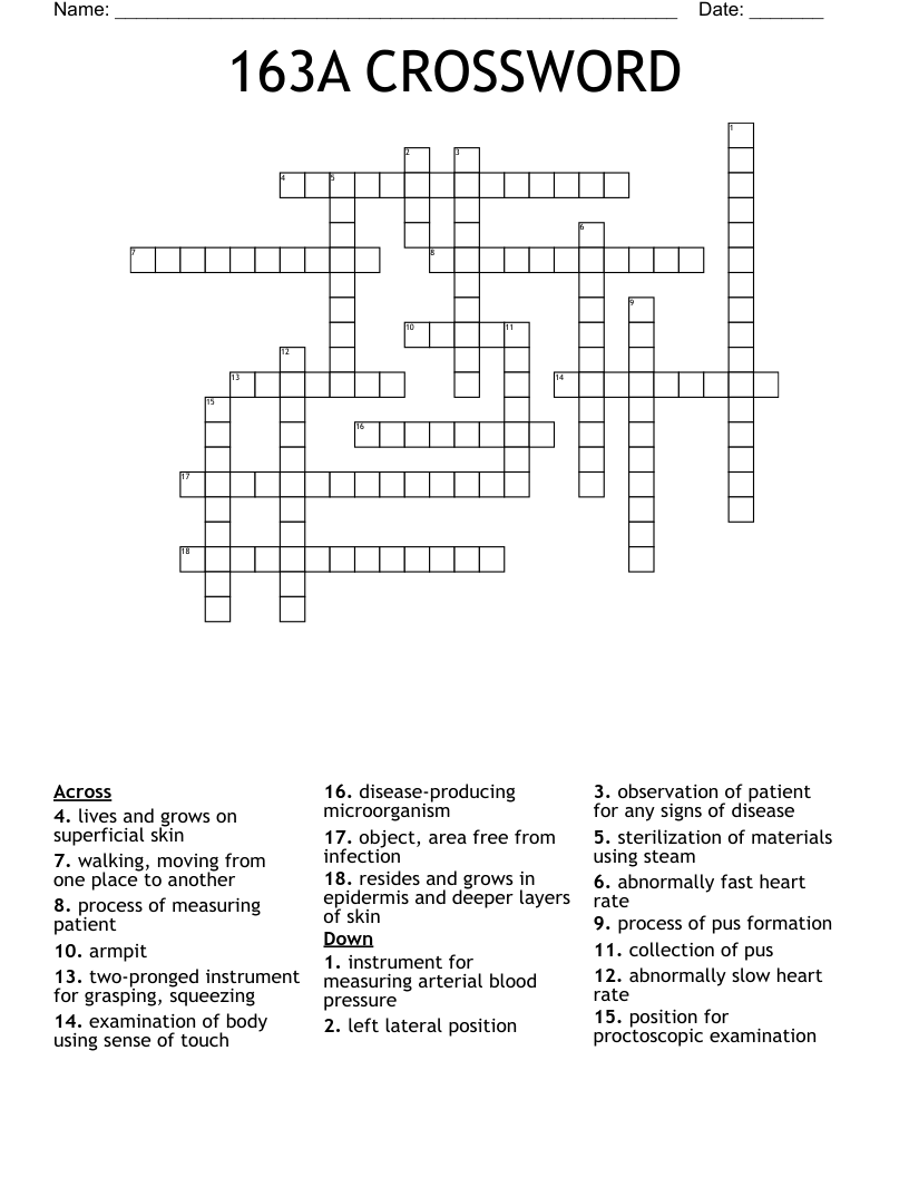  163A CROSSWORD