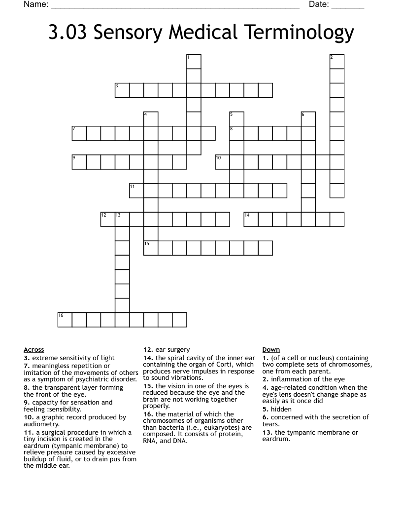  3.03 Sensory Medical Terminology  Crossword
