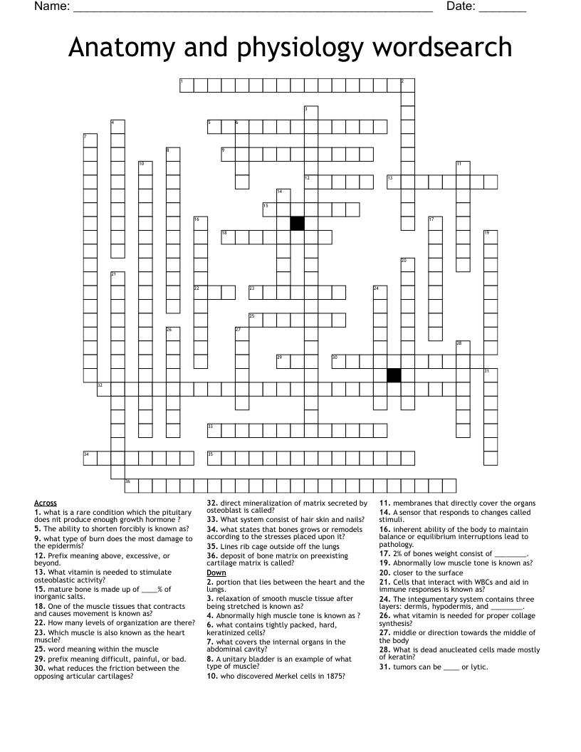  Anatomy and physiology wordsearch  Crossword