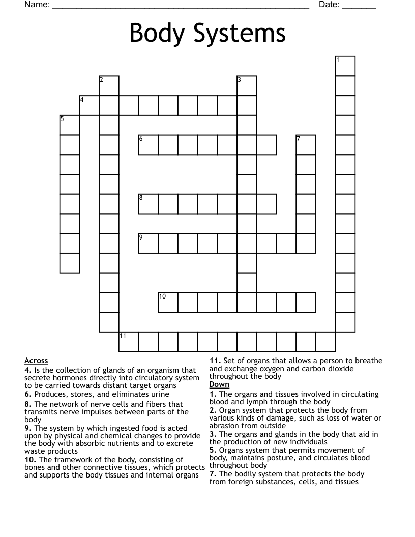  Body Systems Crossword