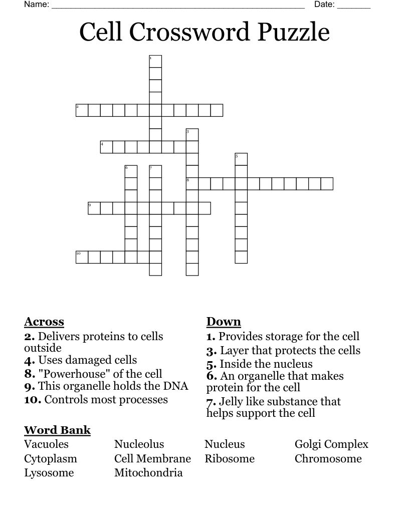  Cell Crossword Puzzle