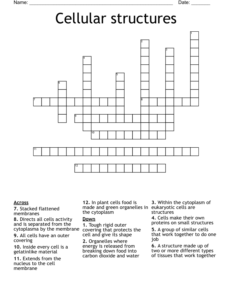  Cellular structures Crossword