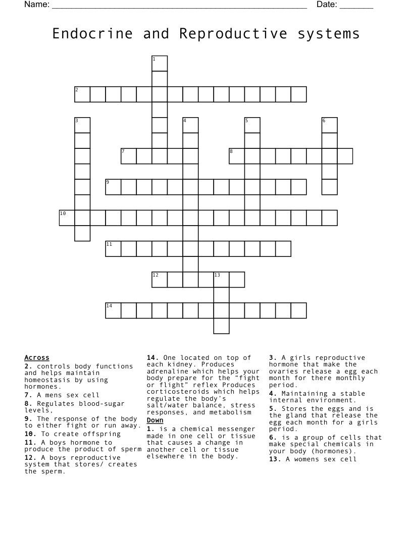  Endocrine and Reproductive systems  Crossword
