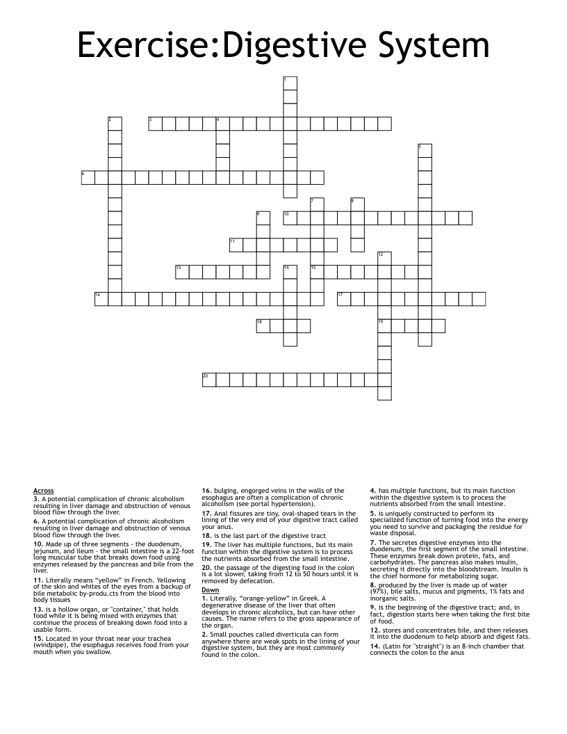  Exercise:Digestive System  Crossword