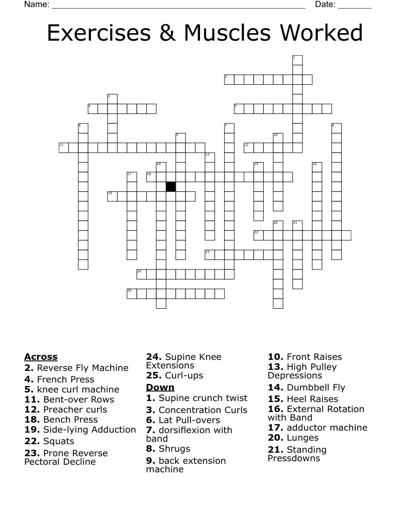  Exercises & Muscles Worked Crossword