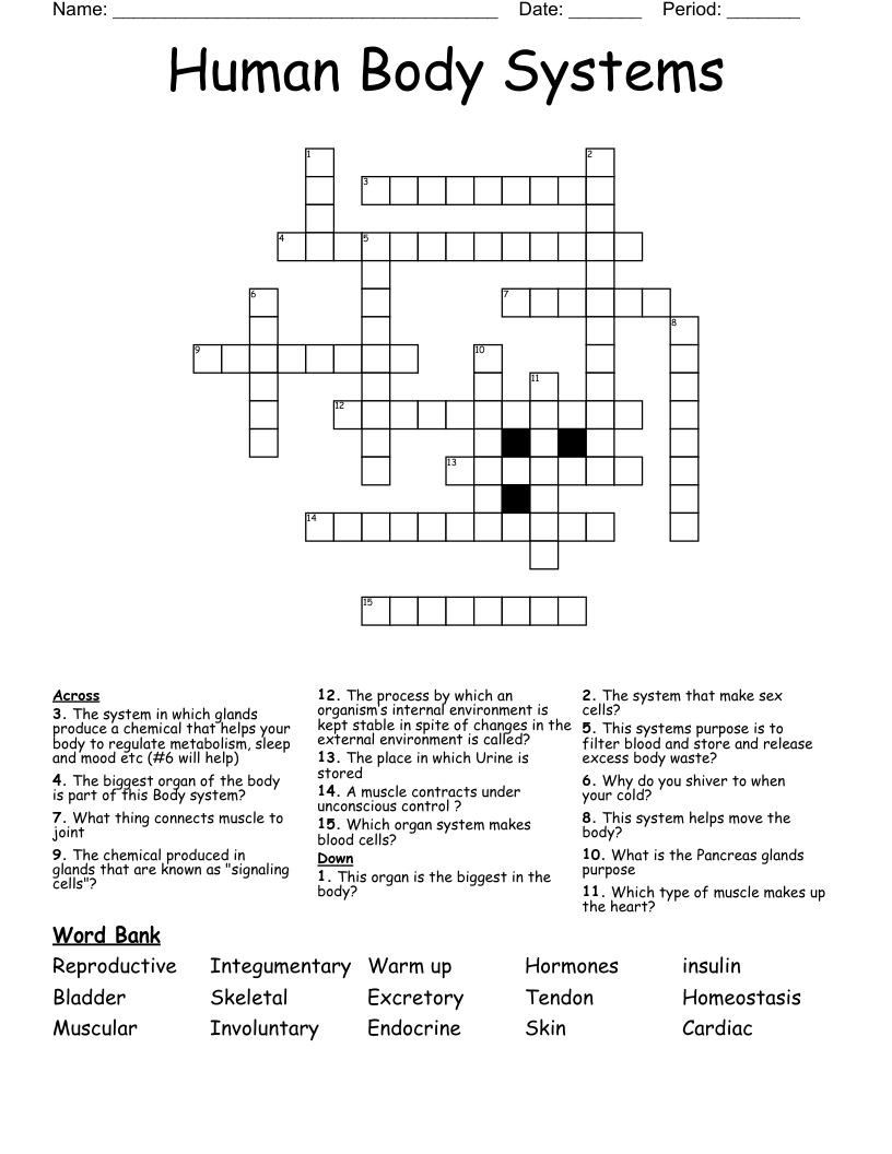  Human Body Systems Crossword