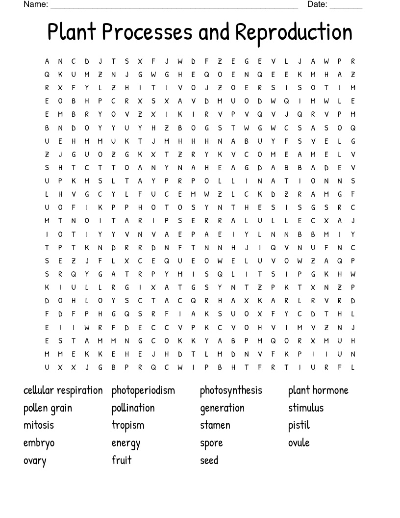  Plant Processes and Reproduction  Word Search