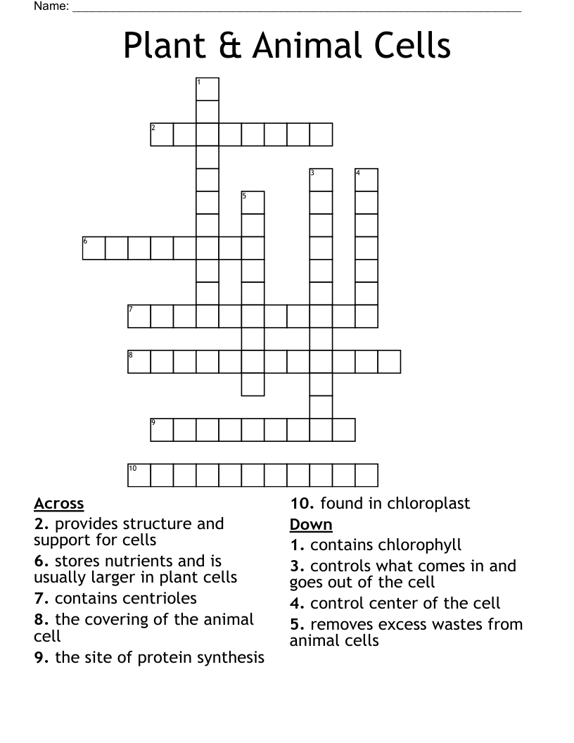  Plant & Animal Cells Crossword