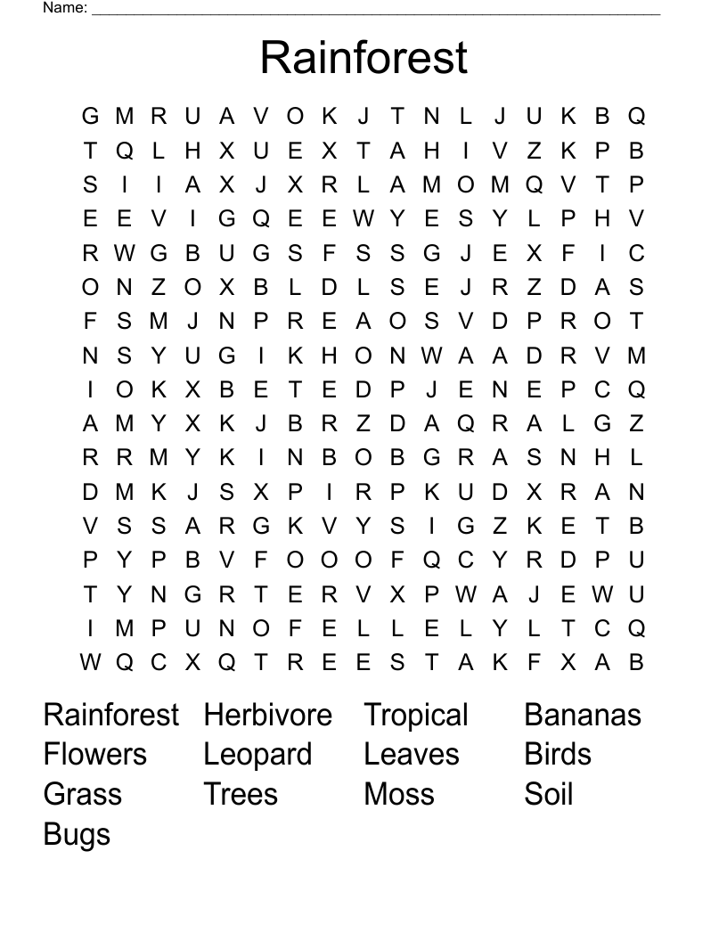  Rainforest  Word Search