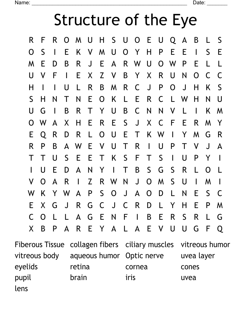  Structure of the Eye  Word Search