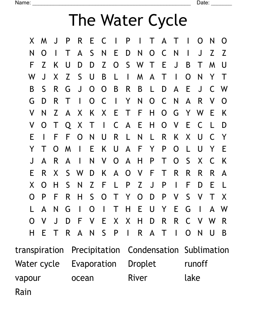  The Water Cycle Word Search