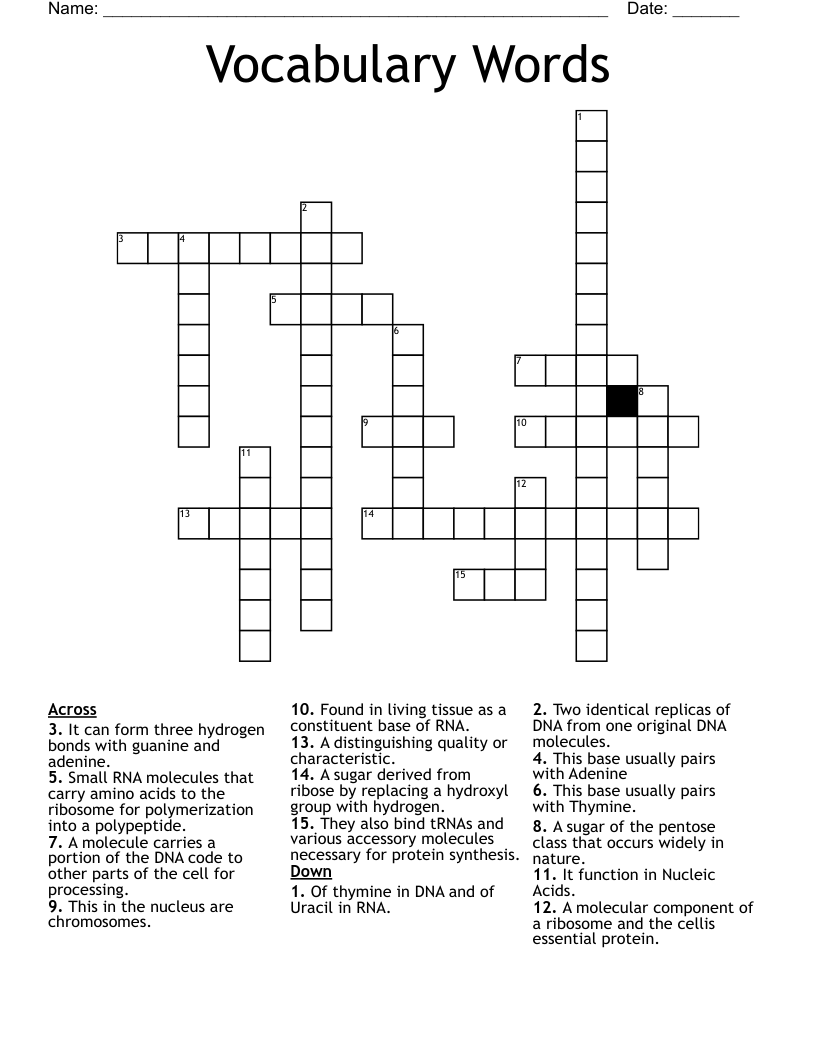  Vocabulary Words Crossword