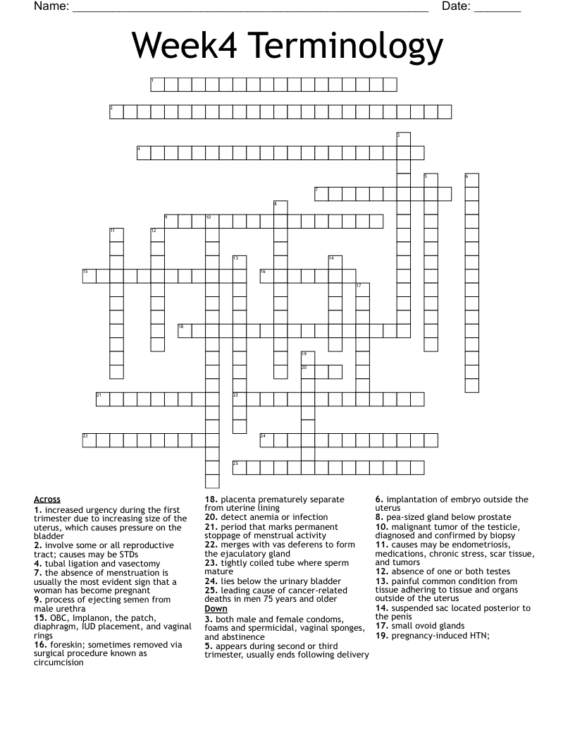 Week4 Terminology  Crossword