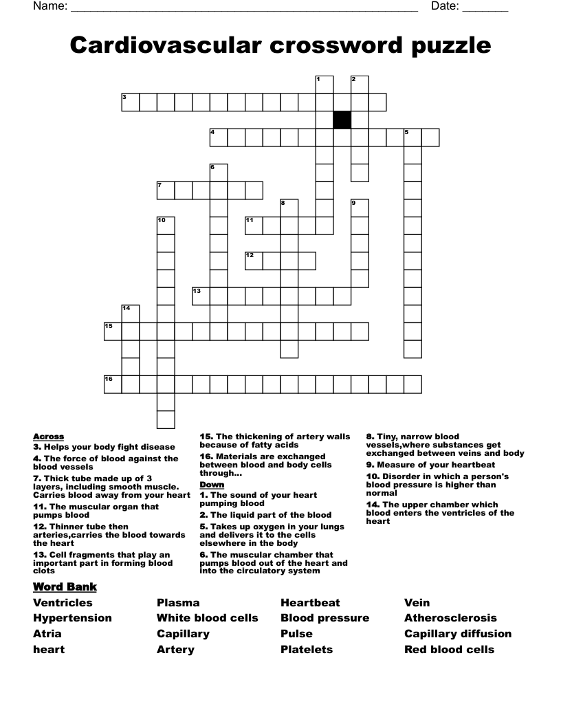   Cardiovascular crossword puzzle 
