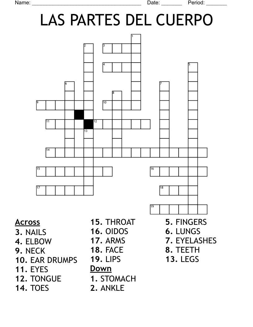   LAS  PARTES DEL CUERPO Crossword