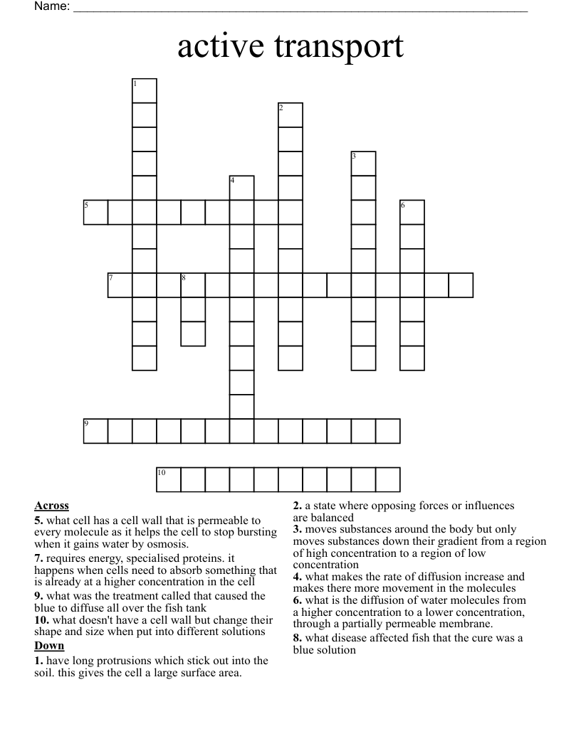 active transport  Crossword