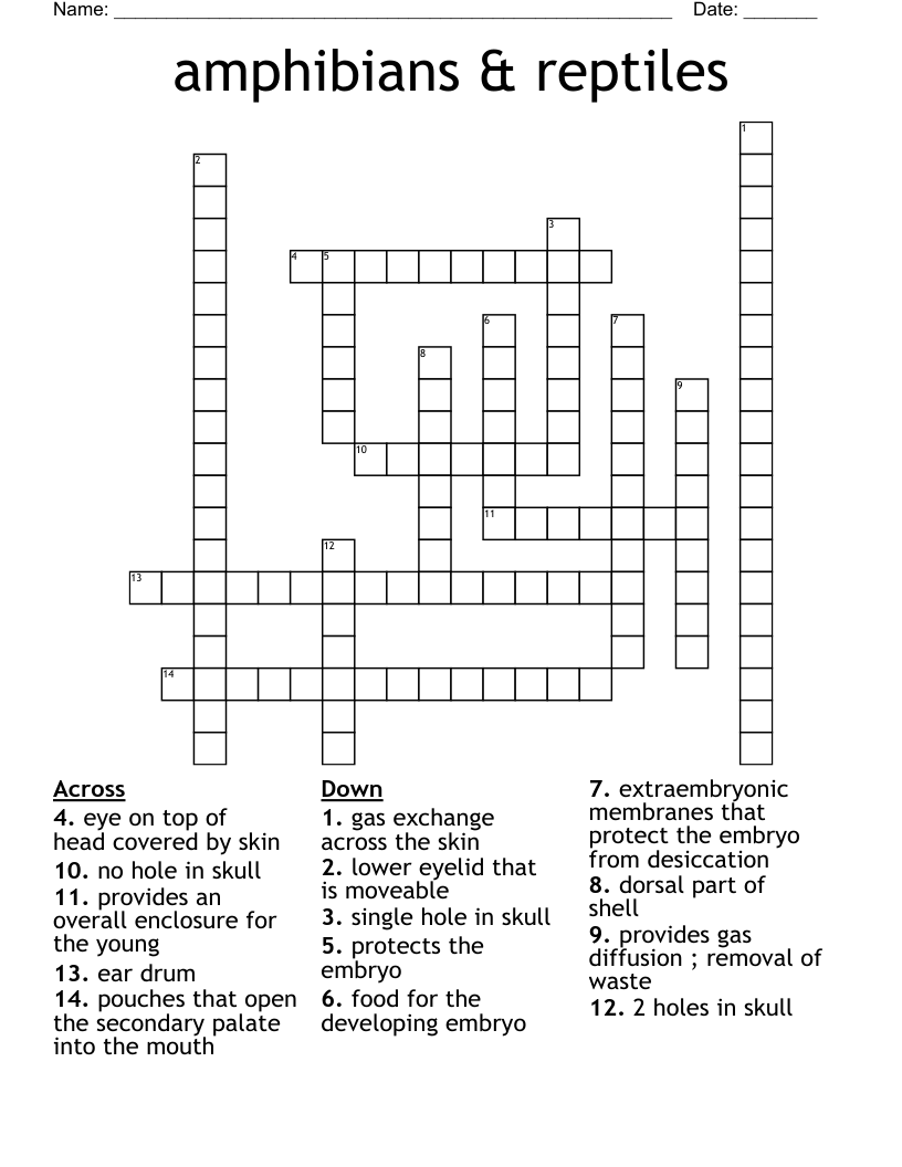 amphibians & reptiles  Crossword