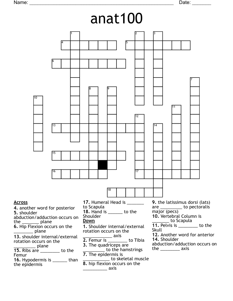 anat100 Crossword