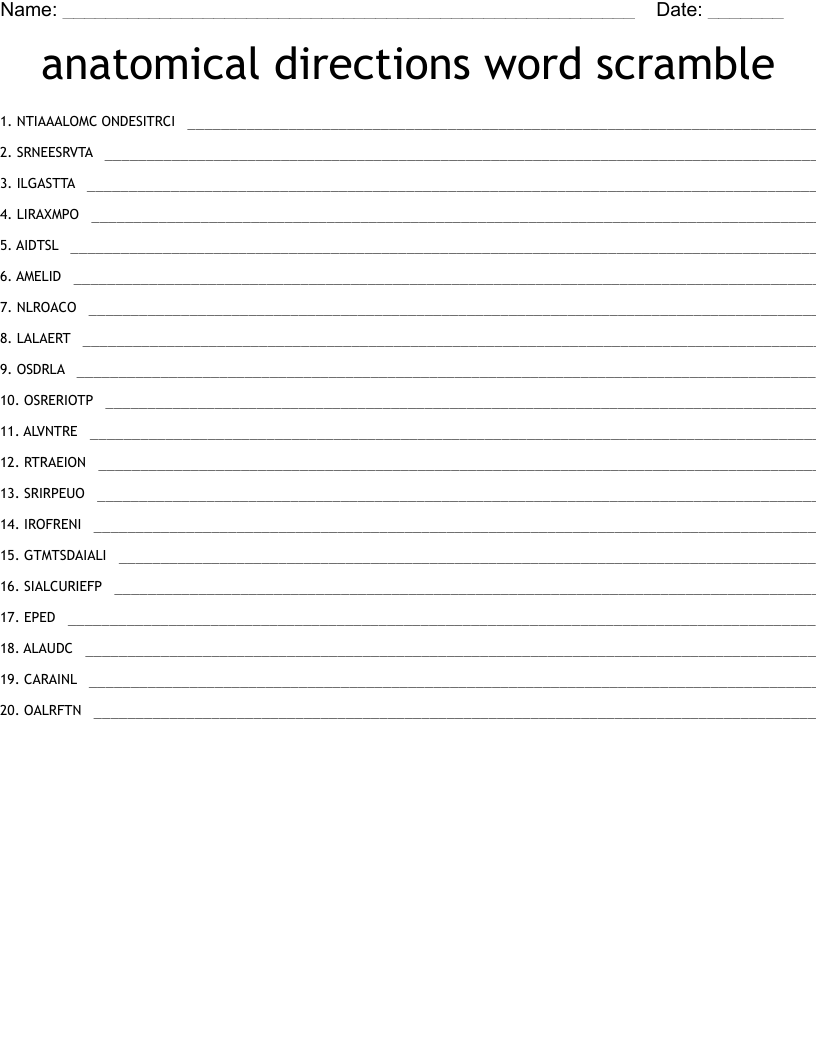 anatomical directions word scramble