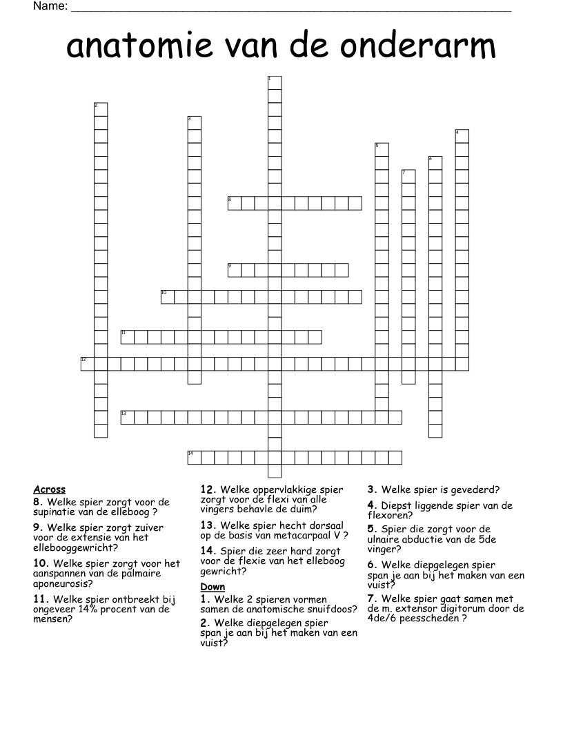 anatomie van de onderarm Crossword