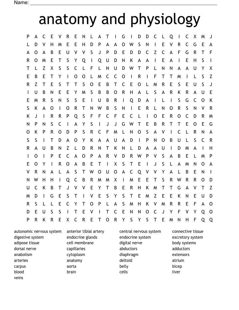 anatomy and physiology Word Search
