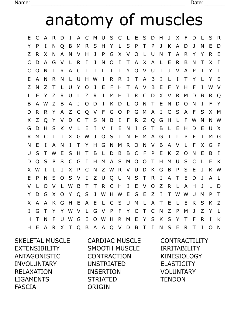 anatomy of muscles Word Search