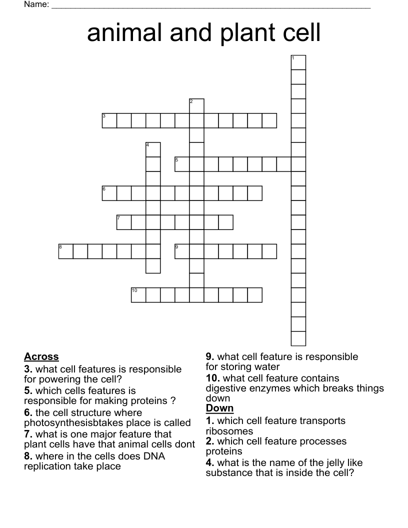 animal  and plant cell Crossword