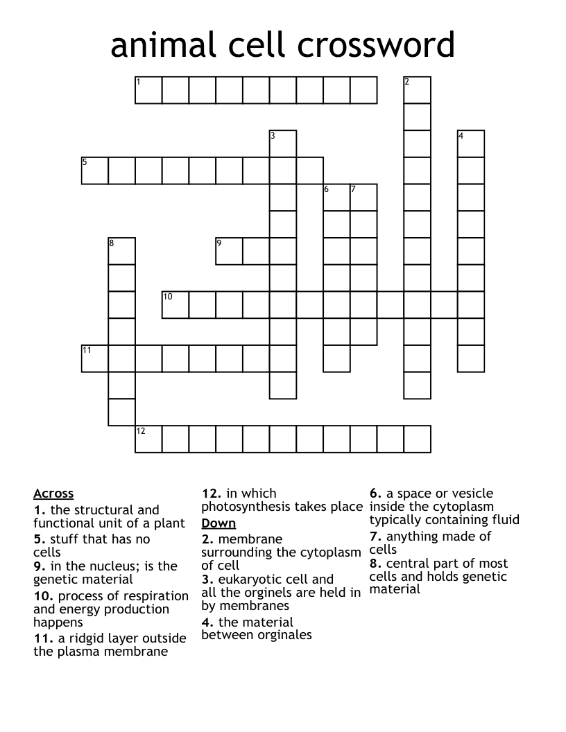 animal cell crossword 