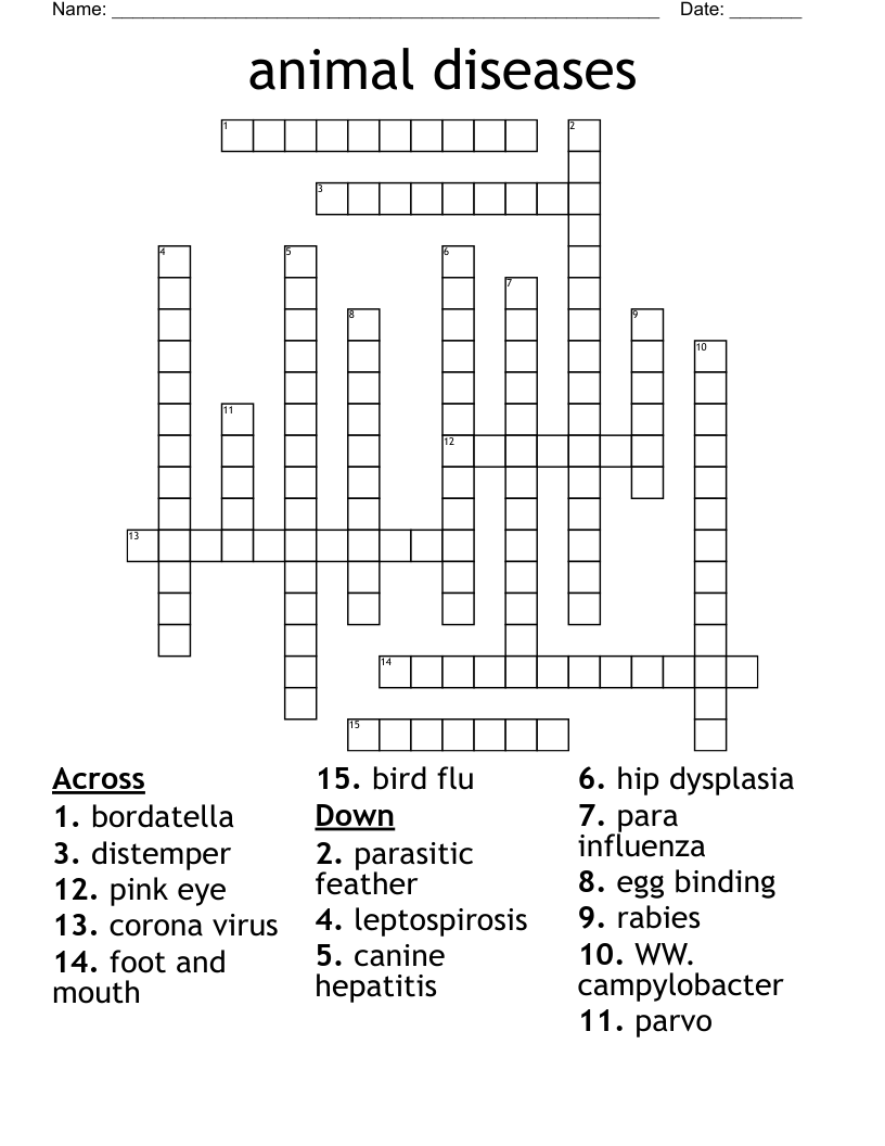 animal diseases Crossword
