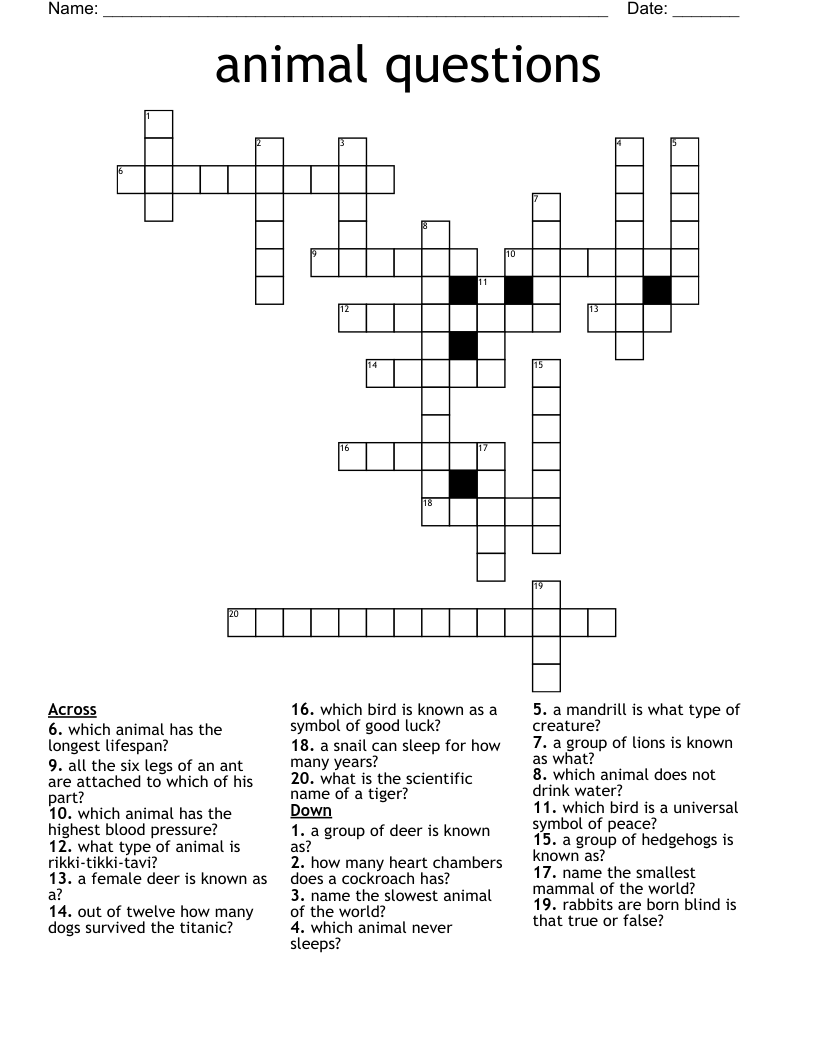 animal questions Crossword