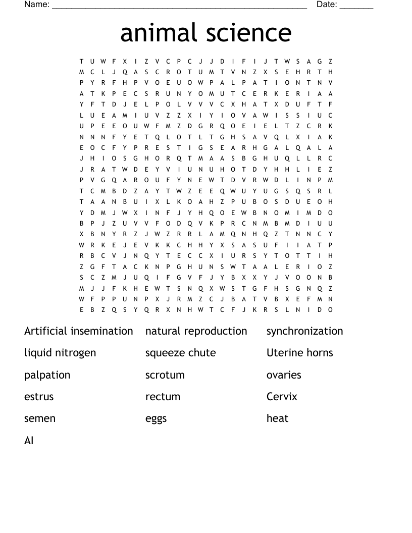 animal science Word Search