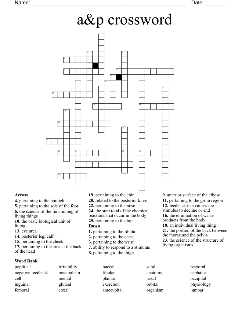 a&p crossword 