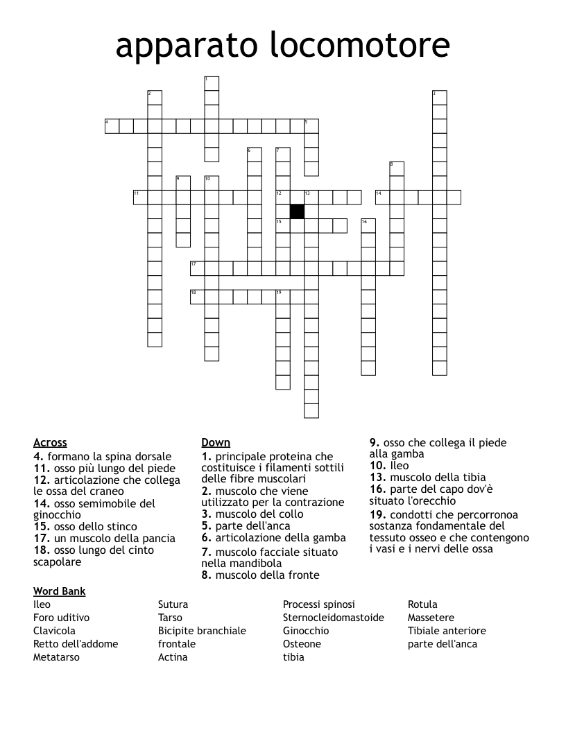 apparato locomotore Crossword