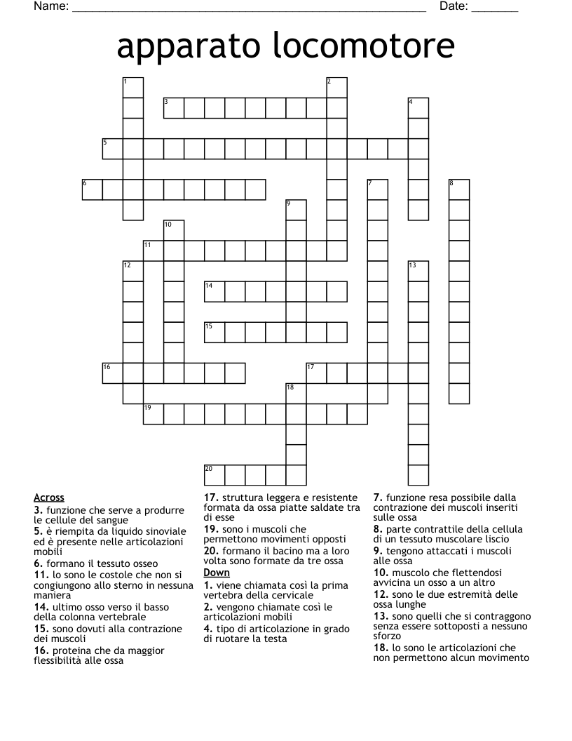 apparato locomotore  Crossword