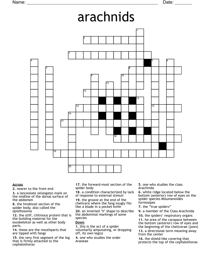 arachnids Crossword