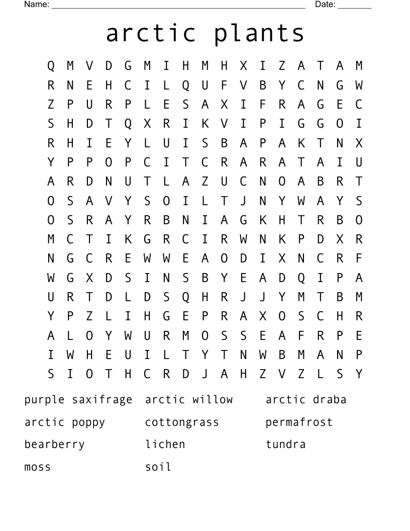 arctic plants Word Search