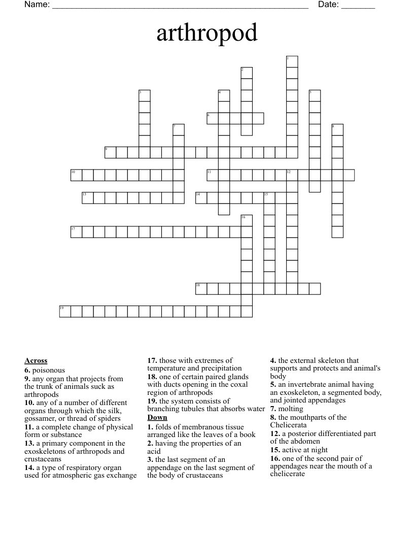 arthropod Crossword