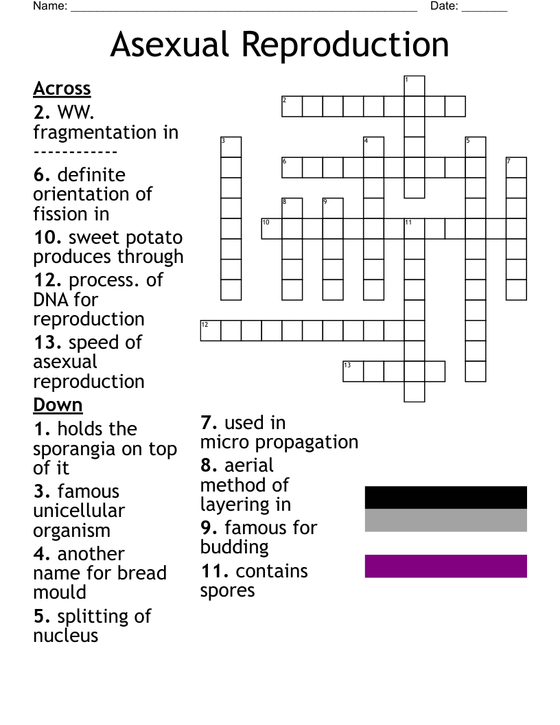 Asexual Reproduction Crossword