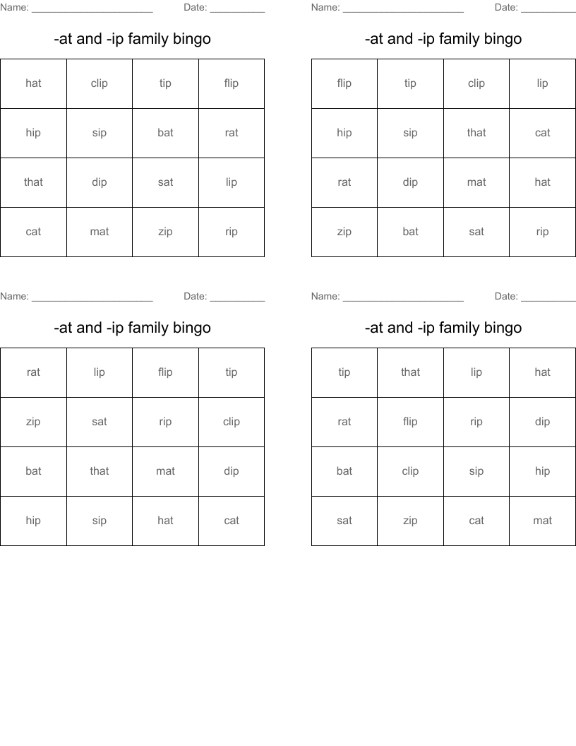 -at and -ip family bingo
