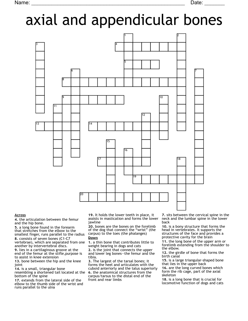 axial and appendicular bones Crossword