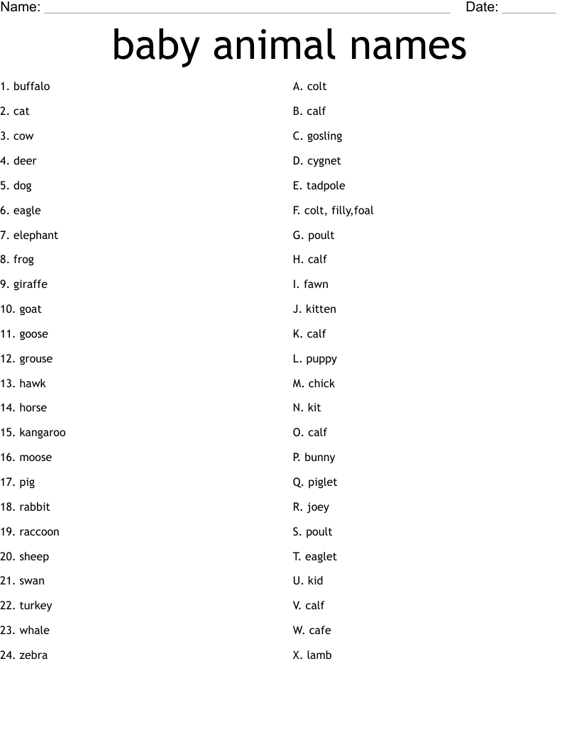 baby animal names Worksheet