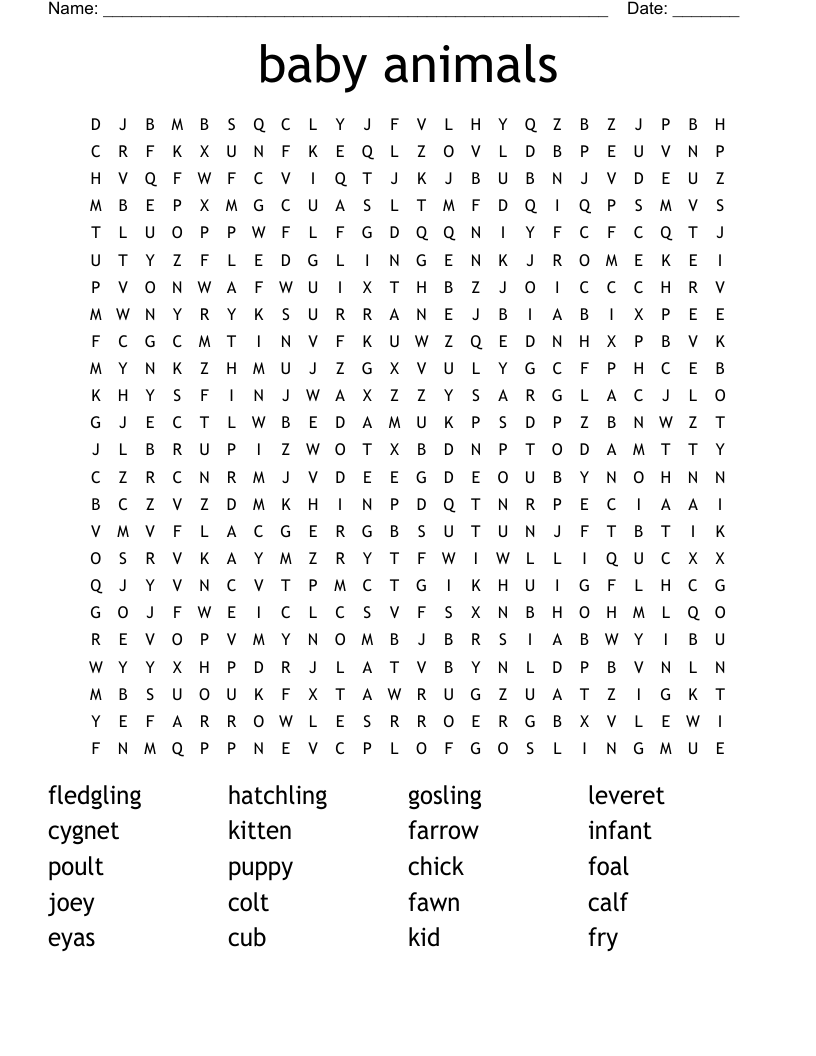 baby animals Word Search