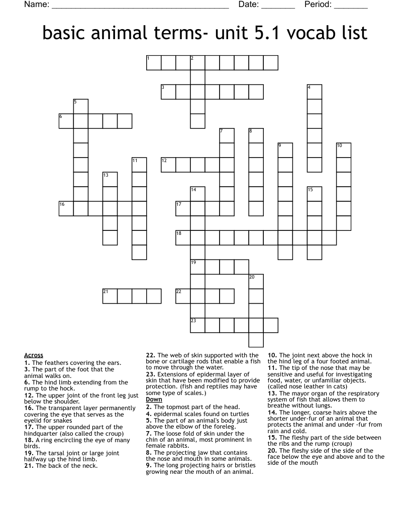 basic animal terms- unit 5.1 vocab list Crossword